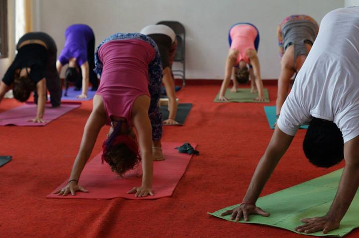Yoga Marg Rishikesh