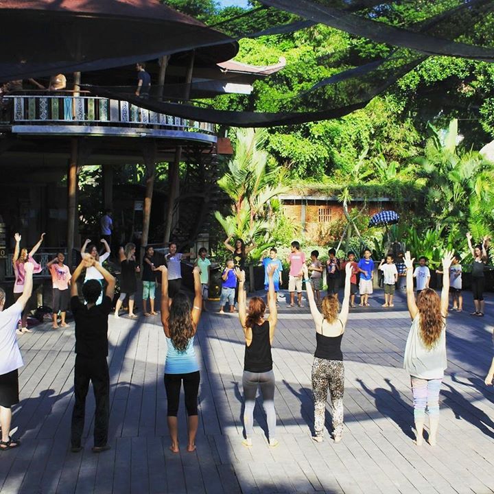 Cat Kabira Yoga Ubud