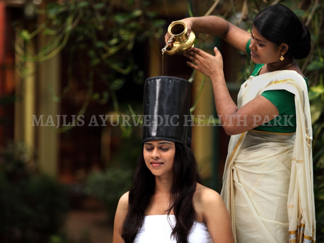 Majlis Ayurvedic Health Park India