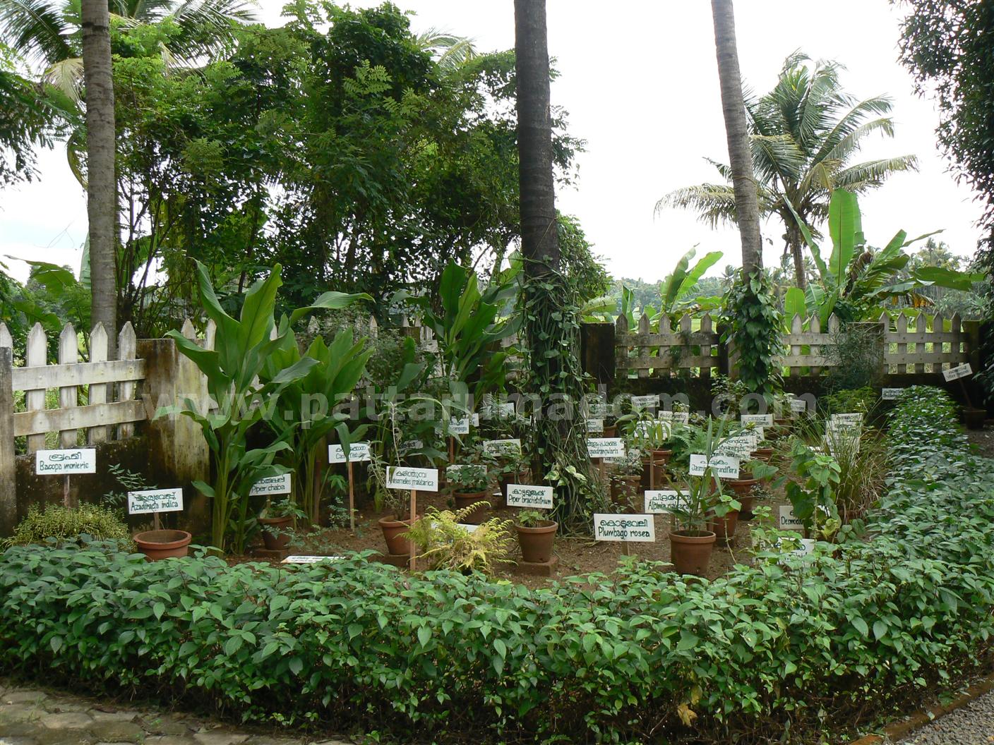  Ernakulam