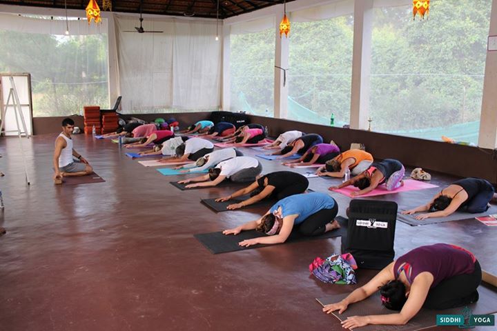 Siddhi Yoga Center 