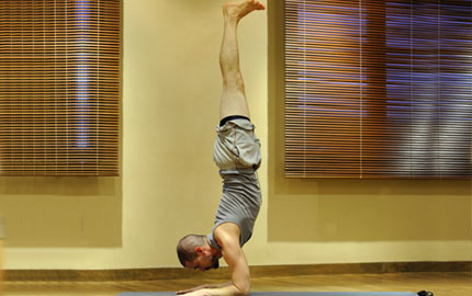 Yoga Dynamics
