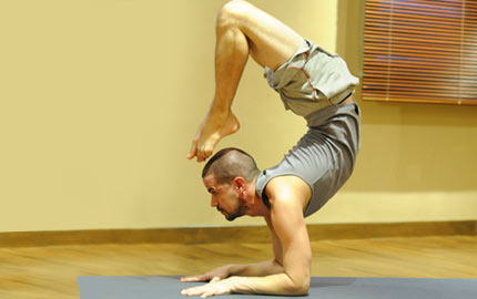 Yoga Dynamics 