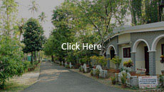 Charakas Ayurveda Hospital Idukki