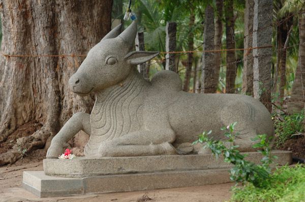 Isha Yoga Center India