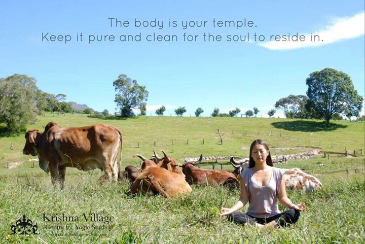 Krishna Village Yoga Brisbane