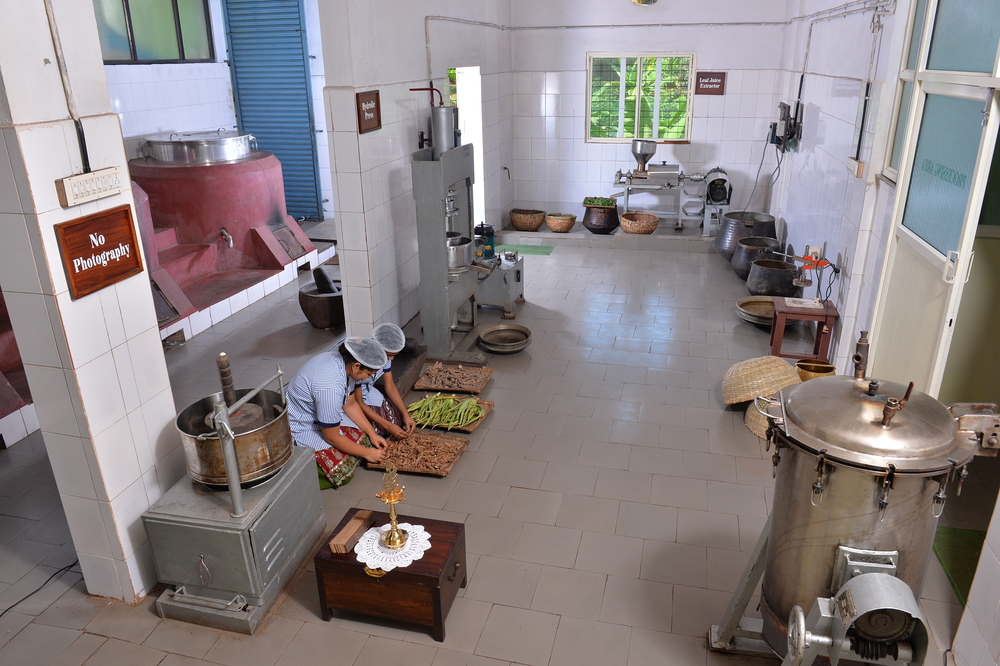 Madukkakuzhy Ayurveda and Homestay 