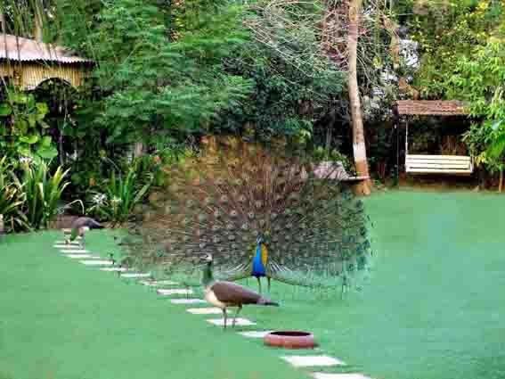  India