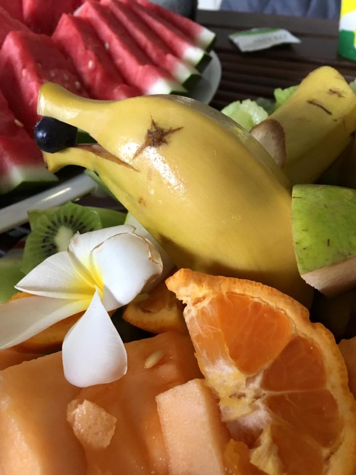 My Health Yoga Studio Brisbane