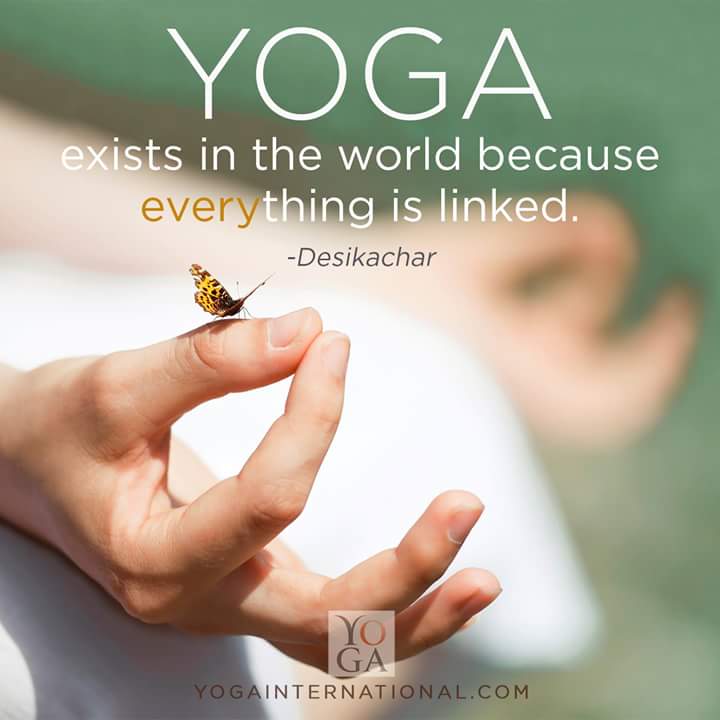 Shambhavi Yoga