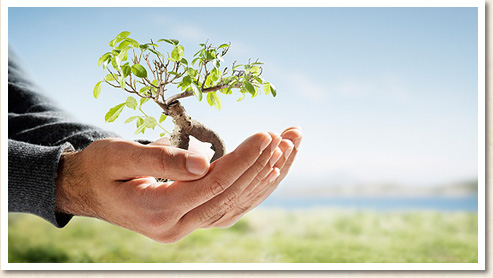 Trinity Ayurveda Hospital India