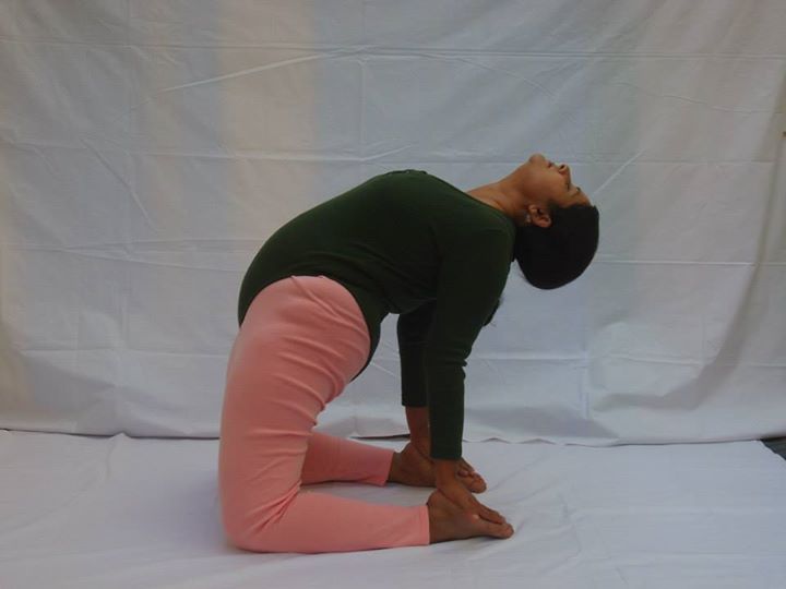 Yoga Sampatti Ahmedabad 