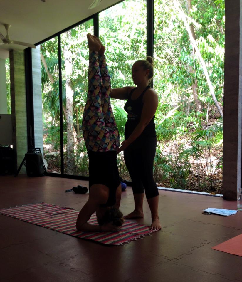 Bodhi Tree Hot Yoga 