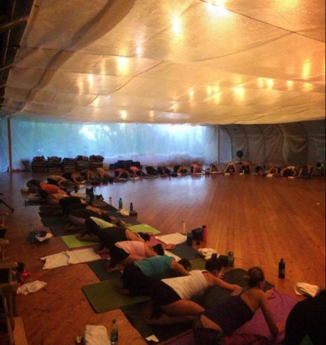 Bodhi Tree Hot Yoga