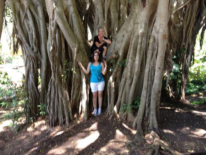 Bodhi Tree Hot Yoga Canada