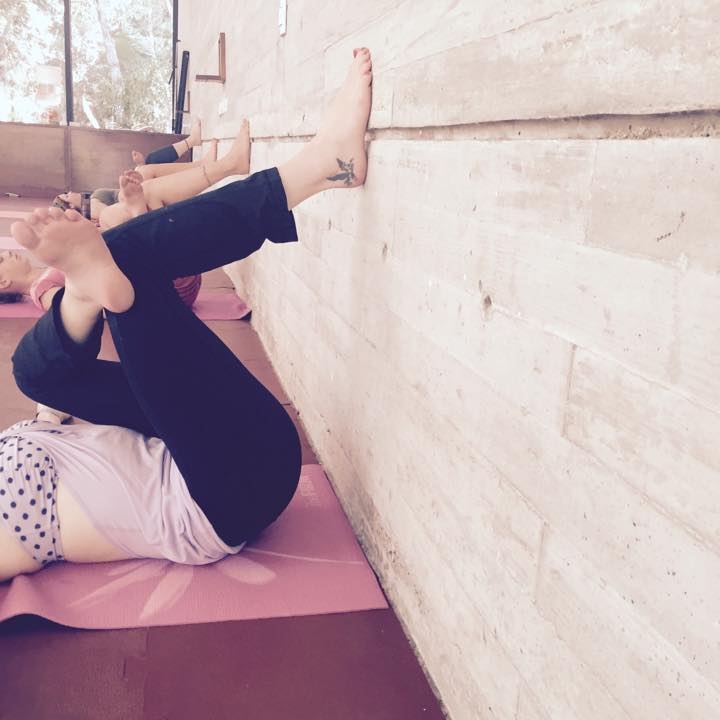Bodhi Tree Hot Yoga