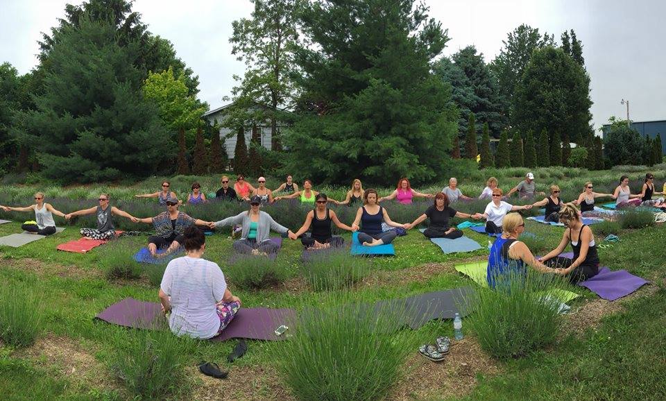 Eastside Yoga 