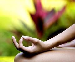 Soul Fitness Mind Body Studios Edmonton