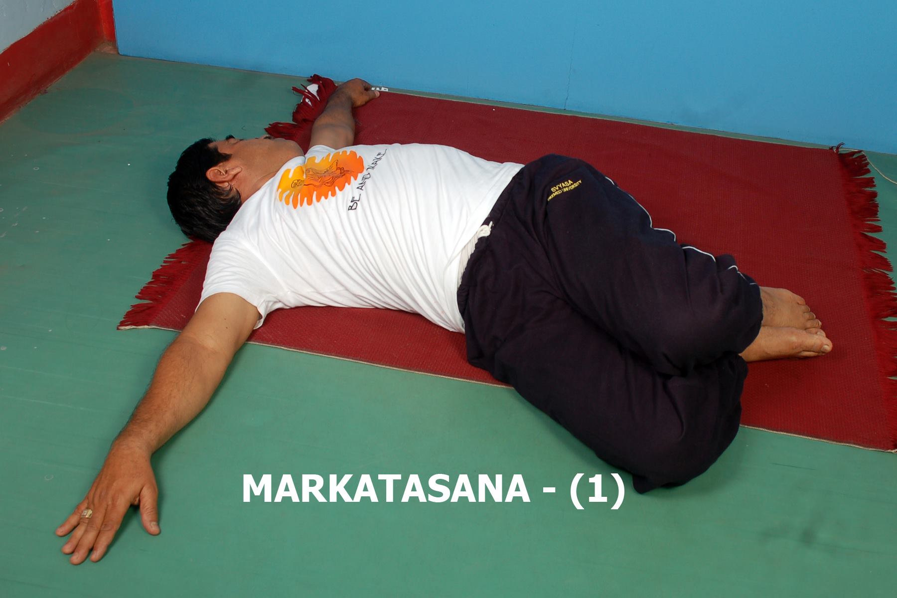 Institute Of Nature Cure And Yogic Science India