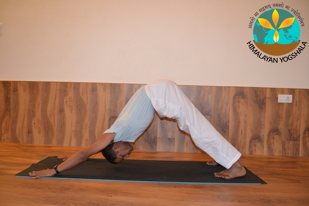 himalayan-yoga-shala-15