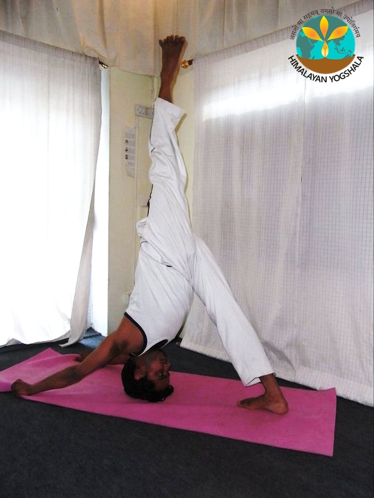 himalayan-yoga-shala-8