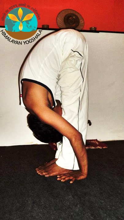 himalayan-yoga-shala-9