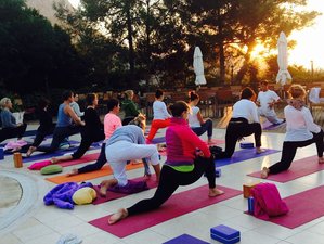 Shiva Yoga Valley