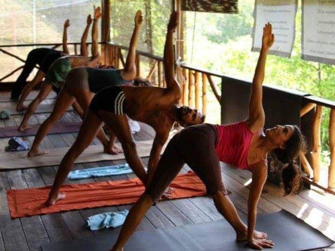 Yoga Chakra School 