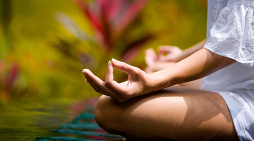 Ayurveda Gram Heritage Wellness Centre 