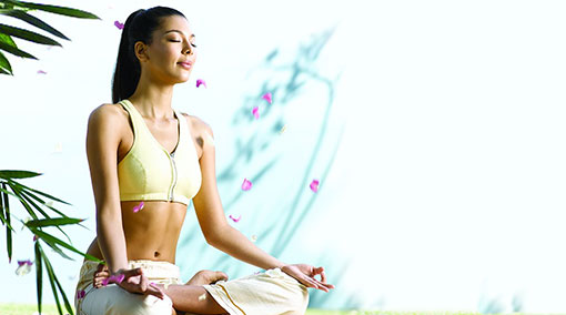 Ayurveda Gram Heritage Wellness Centre 