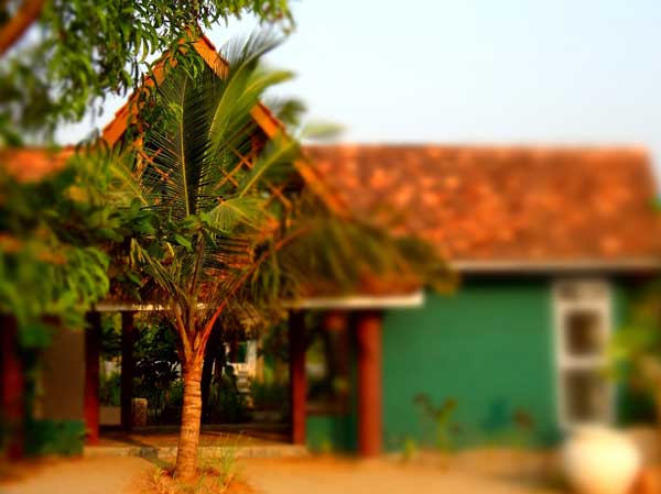  India