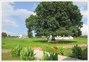 Arhanta Yoga Ashram India