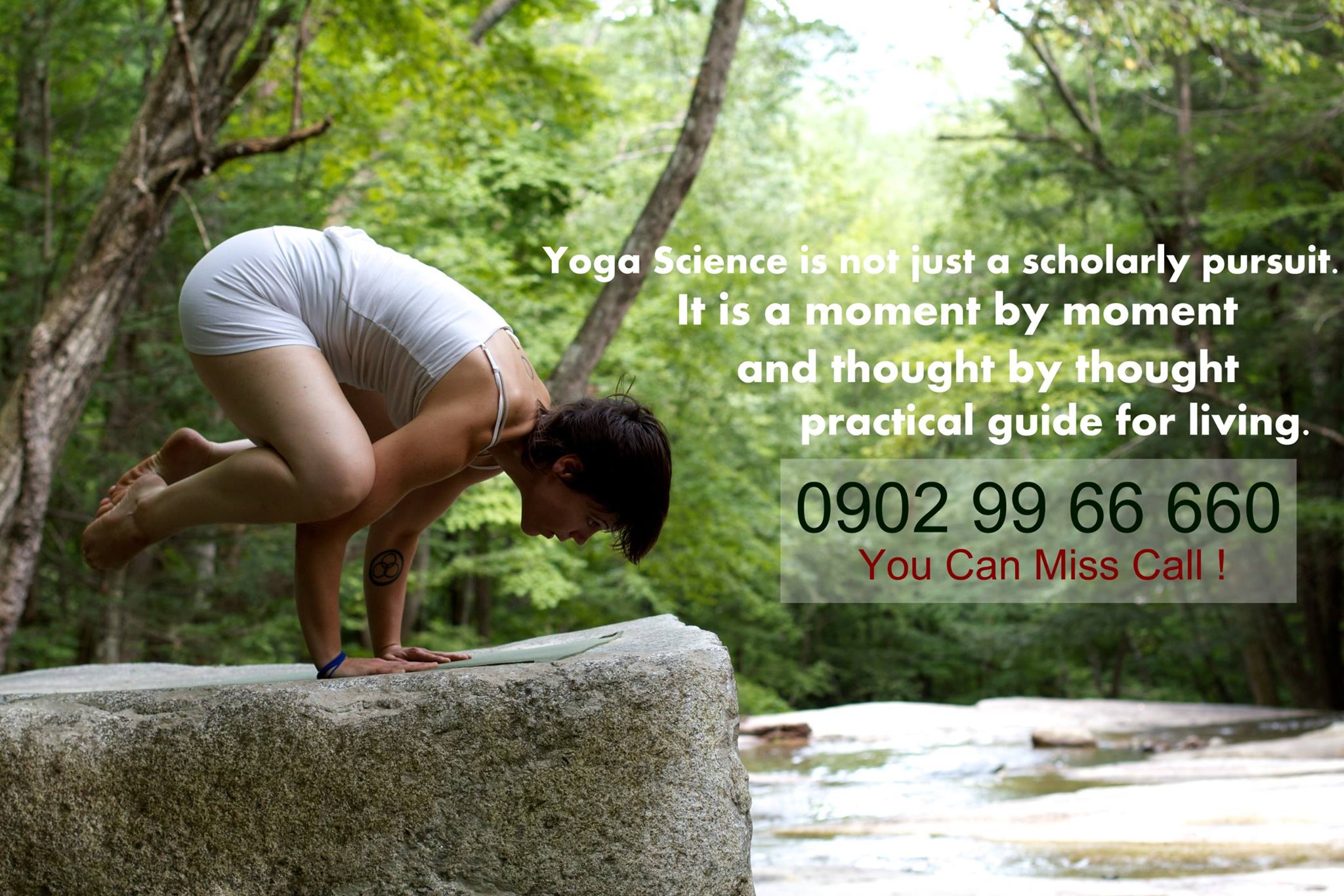 Avi Yogroup Yoga Center 