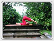 Nilayoram Ayurvedic Resort 