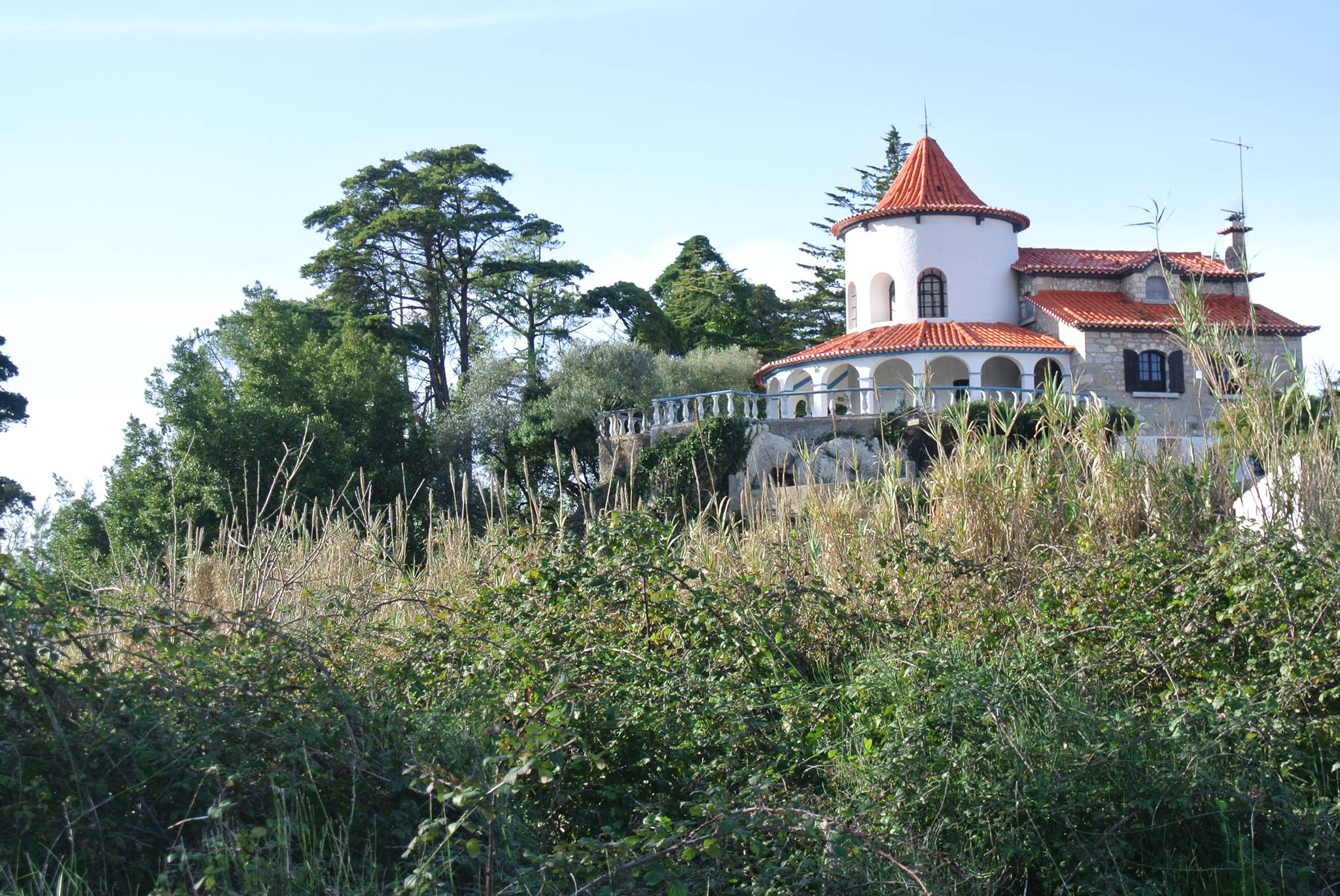 Buddha Yoga Retreats Center 