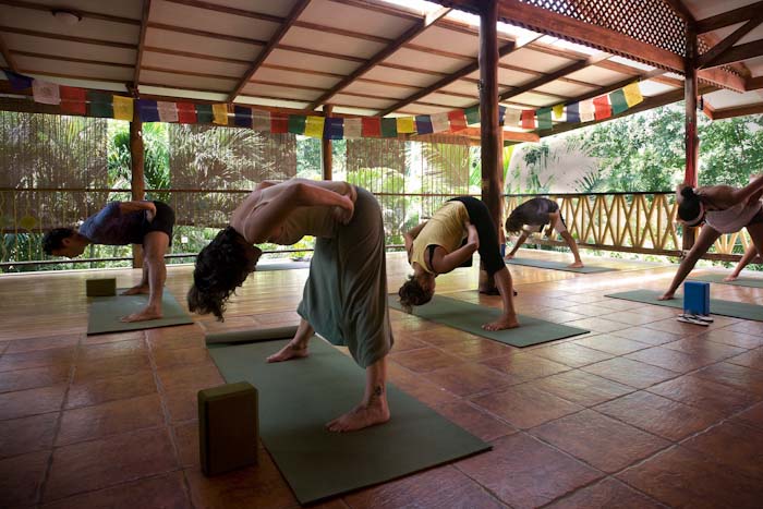 Casa Zen Guesthouse And Yoga 