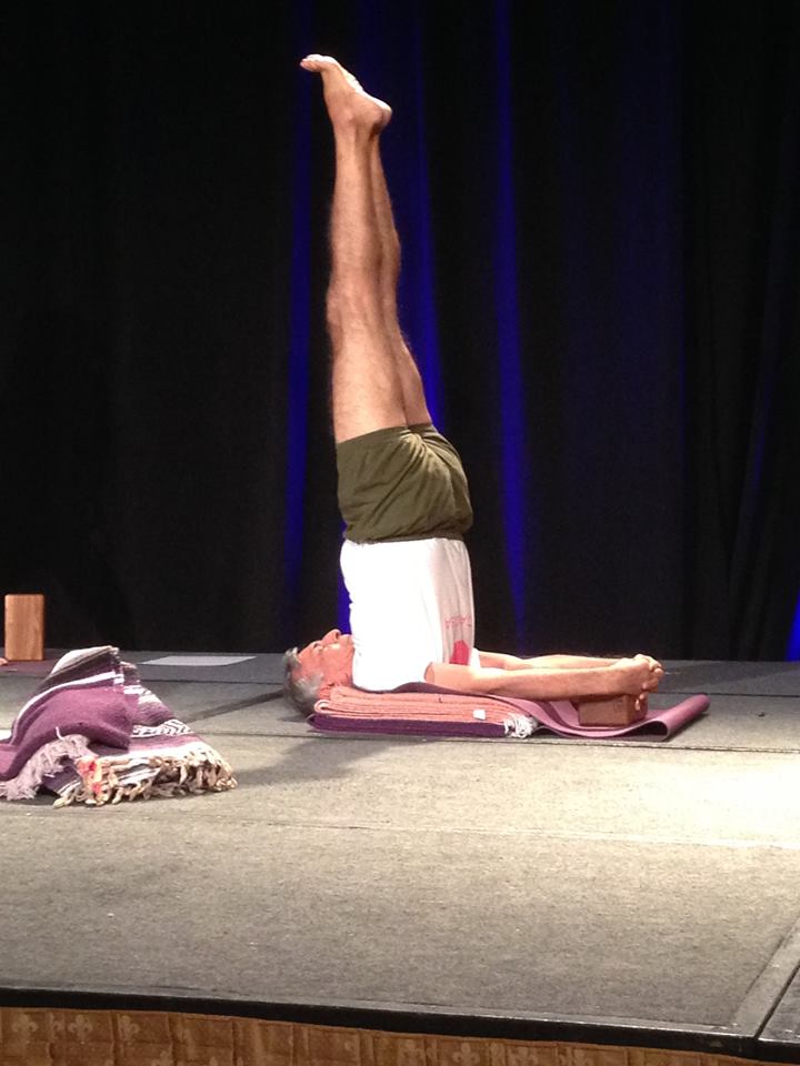 Colleen Gallagher Iyengar Yoga 