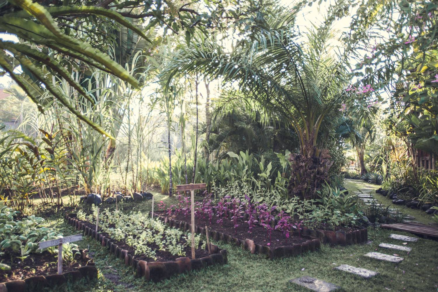  Bali