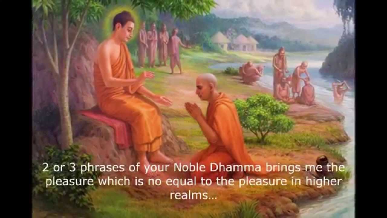 Dhamma Bala Vipassana Trust Jabalpur 