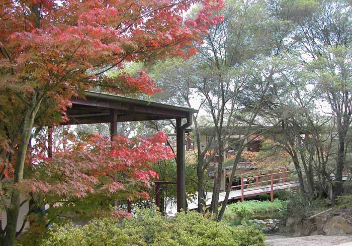 Dhamma Bhumi Vipassana Meditation Center 