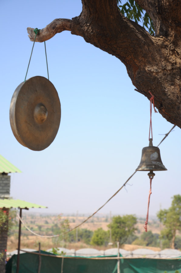  Jalgaon