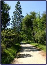 Vipassana Meditation Center