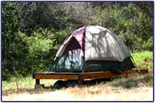 Vipassana Meditation Center 