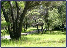 Vipassana Meditation Center
