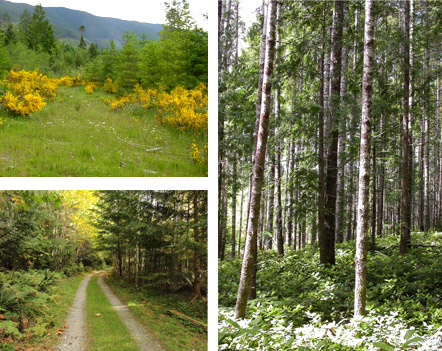 Vipassana Meditation Center British Columbia