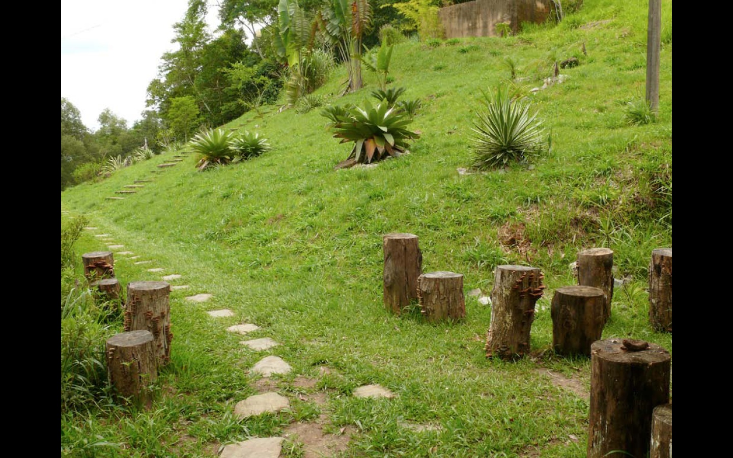Dhamma Santi Vipassana Meditation Center Rio de Janeiro