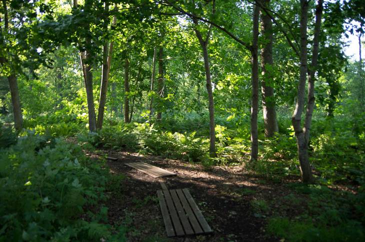Dhamma Sobhana Vipassana Meditation Center 