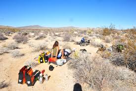  Twentynine Palms
