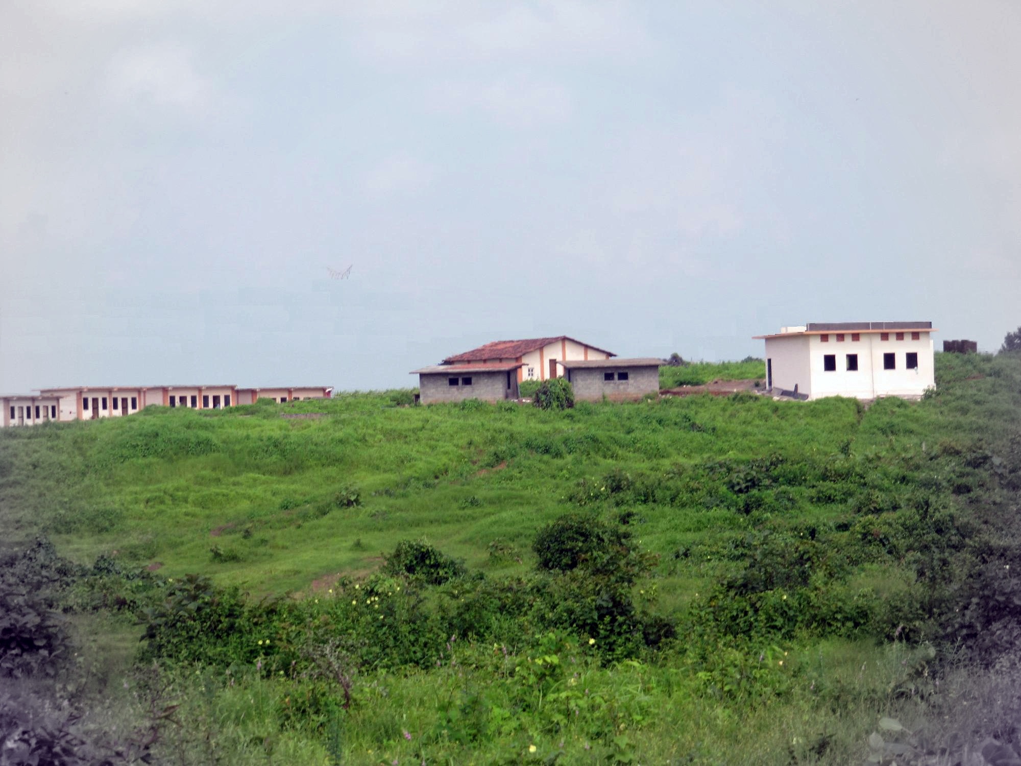  Kalyan