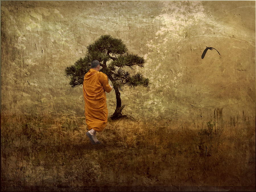 Dhamma Nagajjuna Vipassana Meditation Centre Hyderabad